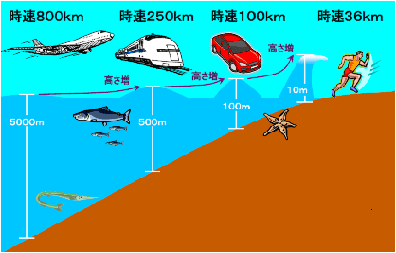 （画像）津波の特徴