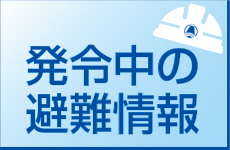 発令中の避難情報のページへのリンク