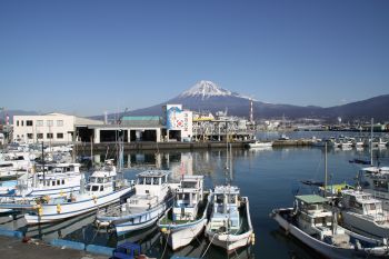 （写真）漁港区