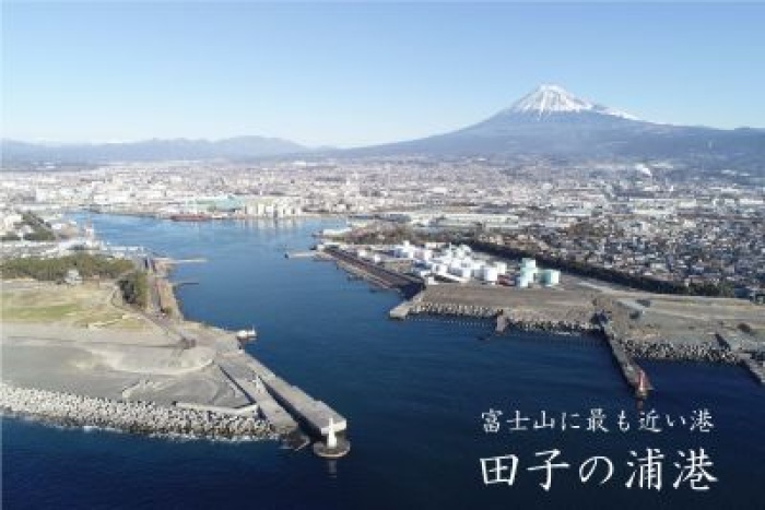 （写真）田子の浦港全景