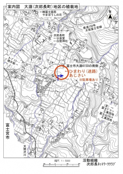 大淵（次郎長町）地区の植栽地