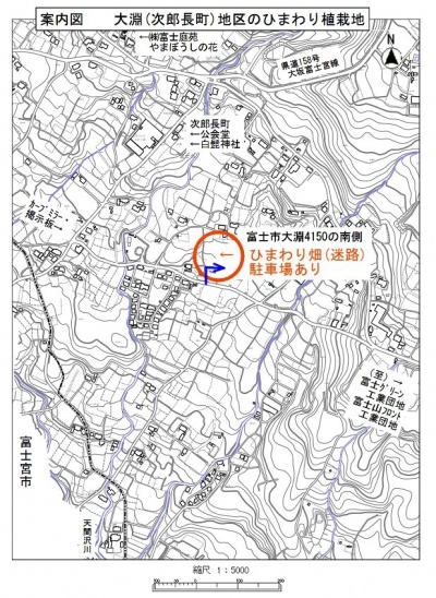 大淵（次郎長町）地区のひまわり植栽地