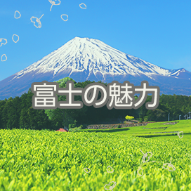富士の魅力