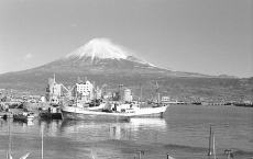（写真）田子の浦港の風景