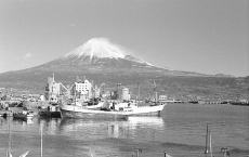 （写真）田子の浦港の風景