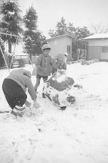 （写真）雪遊びをする子どもたち