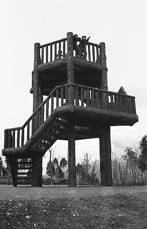 （写真）岩本山公園 パノラマ展望台全景