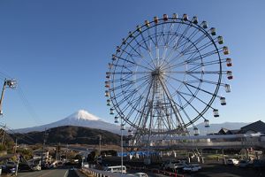 （写真）観覧車全景