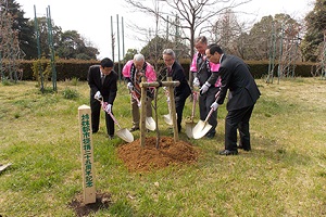 （写真）ハナミズキ植樹