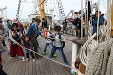 （写真）力をこめてセイルを引っ張る