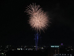 （写真）夜空に打ち上げられた花火