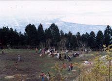 （写真）野田山健康緑地公園全景