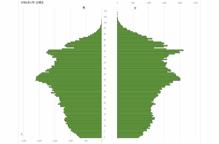 （グラフ）人口ピラミッド（令和6年4月1日）