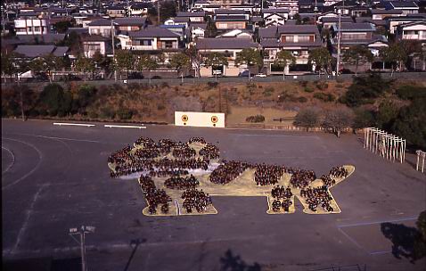 （写真）富士見台小学校トラの人絵