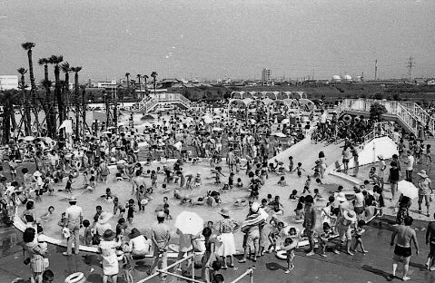 （写真）連日にぎわう市民プール