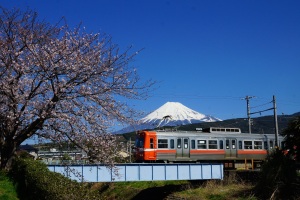 （写真）岳南電車と富士山