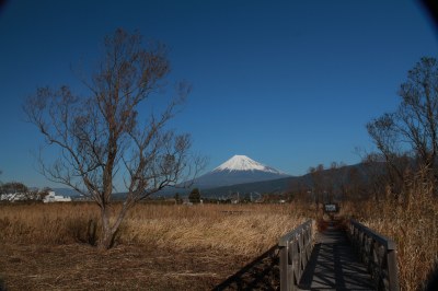 （写真）