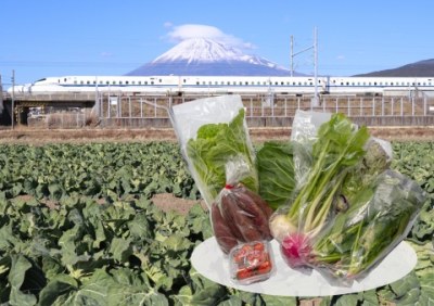 野菜の画像