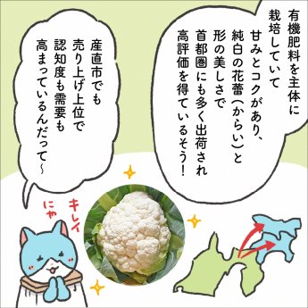 漫画画像