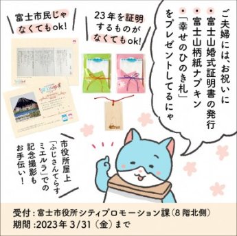 さもにゃんの漫画