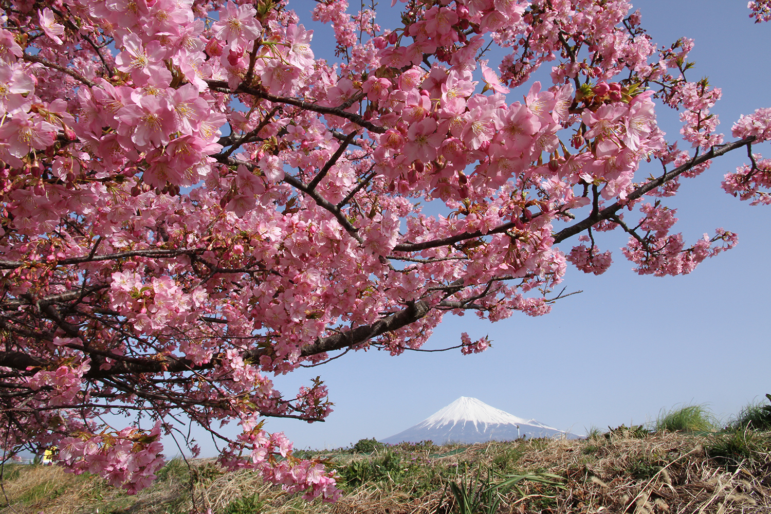 フリー写真素材集 静岡県富士市